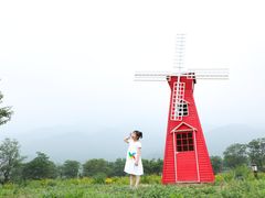 -紫云台香草园