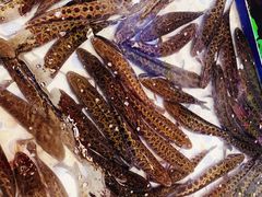 -景明轩•养生酸汤鱼火锅 云贵鲜菌 现舂野果酸汤(王寨小区店)