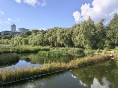 -长春市南湖公园