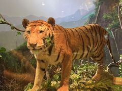 -陕西自然博物馆