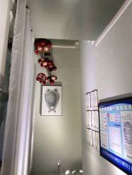 -三只熊皮肤管理中心旗舰店
