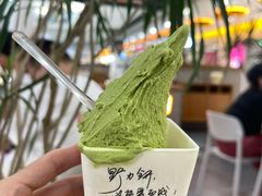 抹茶冰淇淋-野人先生Gelato(上海长宁龙之梦店)