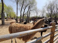 -鄂尔多斯野生动物园