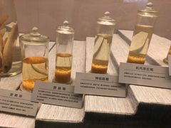 -青藏高原自然博物馆