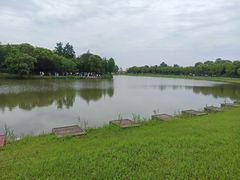 -宁波杭州湾国家湿地公园