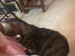 -逃脱反斗城沉浸剧情密室(北京路店)