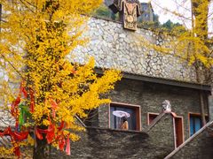 -九皇山景区