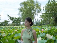 -陶辛水韵