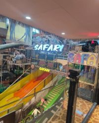 -卡通尼·Safari非洲探索乐园·生日会(金桥国际商业广场店)