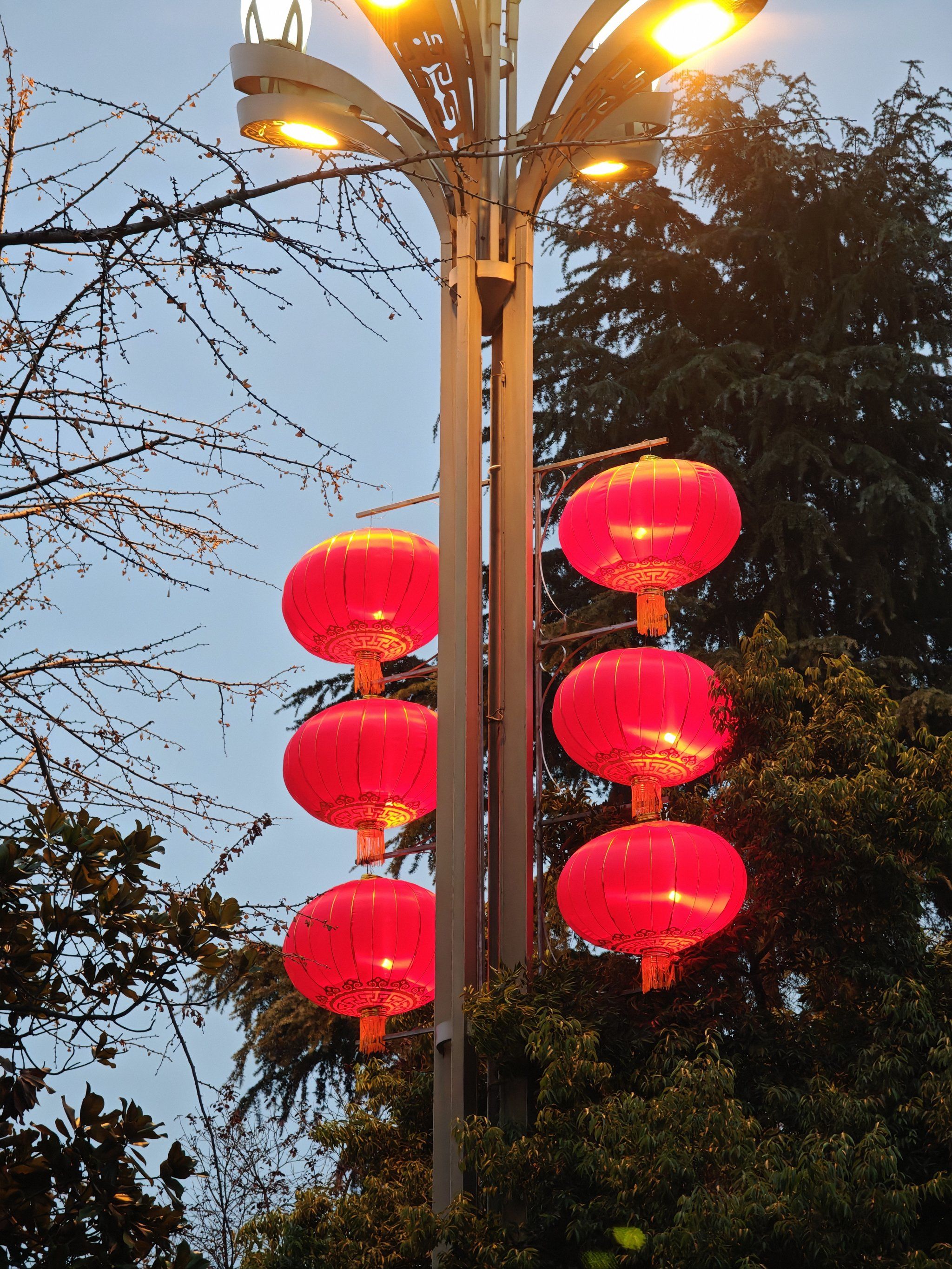 当路灯上都挂满红灯笼的时候,新年就到了