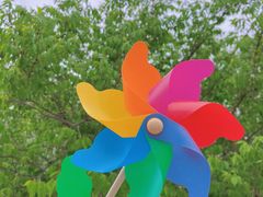 -黑龙江省森林植物园