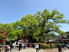 -新安江山水画廊风景区