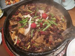 -老板恋上鱼(振华商厦店)