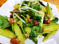 拍黄瓜-内蒙古牛羊肉特色美食(后海滨路店)