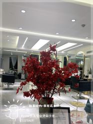 -京都造型·烫发·染发