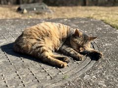 -敬亭山风景名胜区