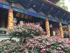 -中国观音故里广德景区