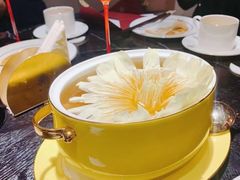 -甄御•海鲜新青岛菜(麦岛店)