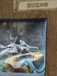 -Zoolung Zoolung动物主题公园(海信广场店)