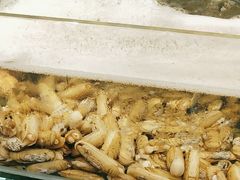 -北戴河庆山饭店·海鲜砂锅粥(北戴河黑石路店)