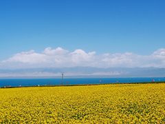 -青海湖国家重点风景名胜区