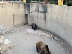 -保定市动物园
