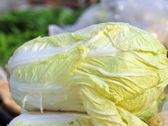 白菜-陶老爷城一锅羊蝎子(西四路店)