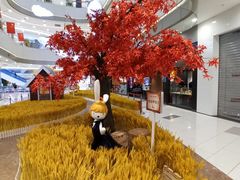 -凯德广场(西城店)