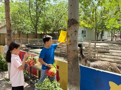 -水上乐园·欢乐世界