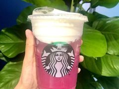 海盐荔枝茶云乌龙饮品-星巴克(来福士2F店)