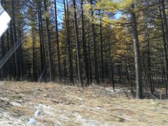 -塞罕坝国家级自然保护区