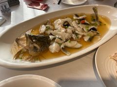 糟熘大桂鱼-老人和饭店(淮海中路店)