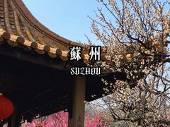 -雨花胜境