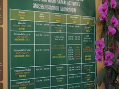 -清迈夜间动物园