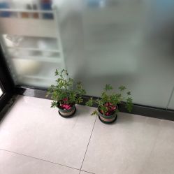 点击看大图 -蕾特恩专业祛痘国际连锁