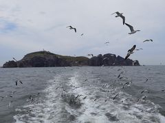 -海驴岛(荣成市)
