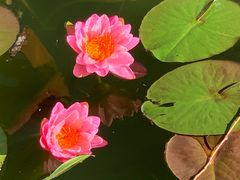 -国家植物园南园