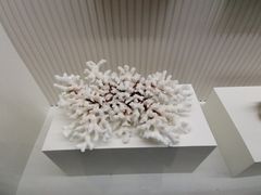 -青岛贝壳博物馆