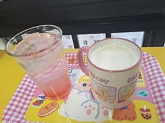 -团子家猫咪猫咖馆·柯基·柯尔鸭