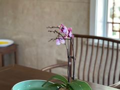 -嘉龙茶庄