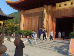 -深圳仙湖植物园-停车场