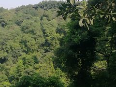 -广州市帽峰山景区