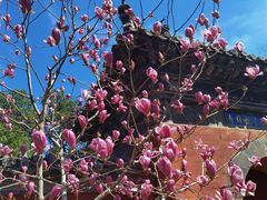 -红螺寺