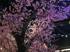 -章丘宴(唐人中心店)