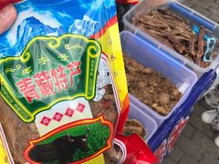 -扁都口生态休闲旅游区
