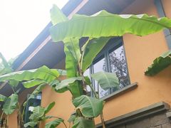 -铜锣湾·有麝自然香(重庆新天地店)