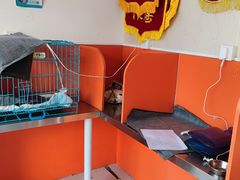 -瑞派福兴宠物医院犬猫全科·骨科·中西医结合(河东店)
