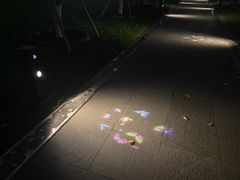 -新城控股新总部大楼