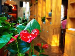 -桉树林A coffee 森林餐厅(三圣乡店)