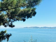 -养马岛旅游度假区